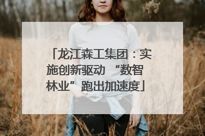 龙江森工集团：实施创新驱动 “数智林业”跑出加速度